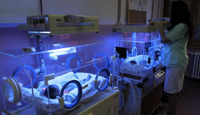 natalitet ginekologija niss 3