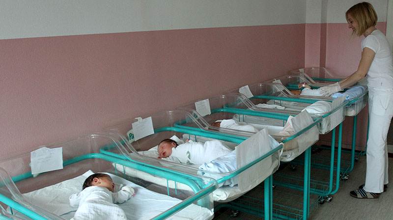 natalitet ginekologija niss 6