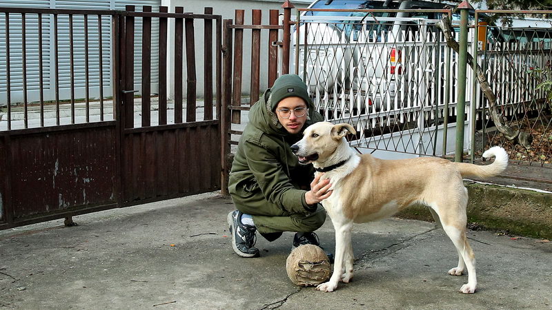 petarde nova godina 11