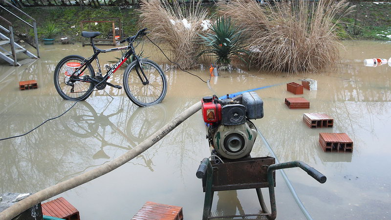 polave Jug Srbija 02