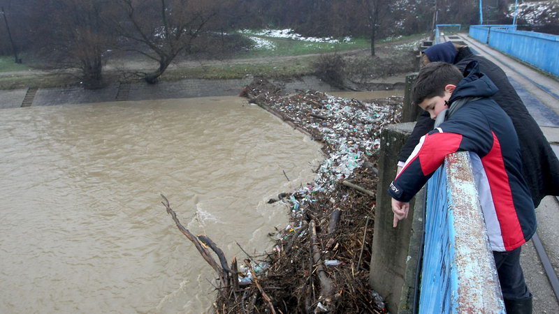 polave Jug Srbija 03
