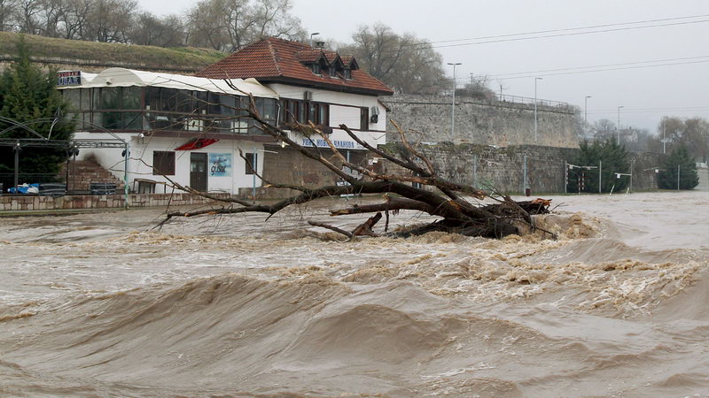 polave Jug Srbija 07
