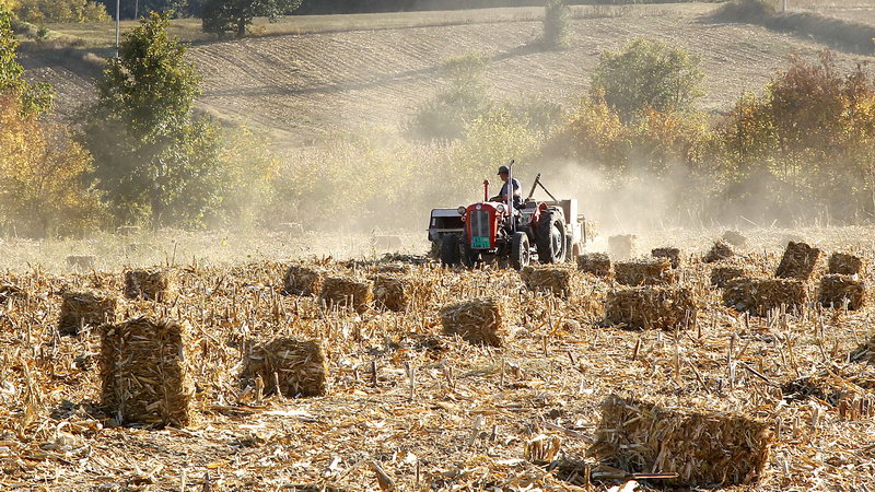 poljoprivreda sankcije Rusija 6