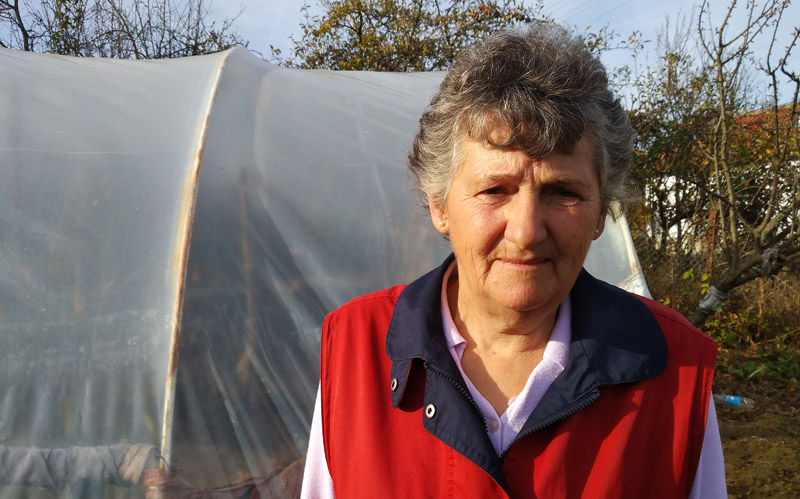 prekonoga plastenici drenka dinkic