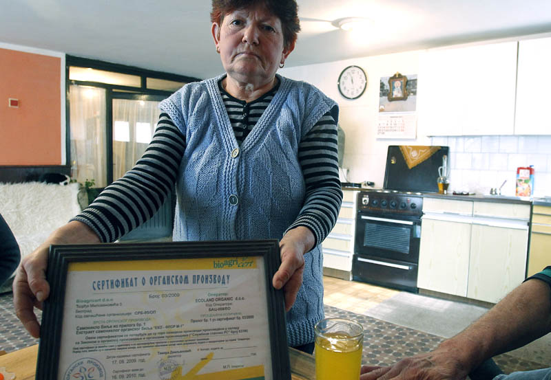 svrljig plastenici 3