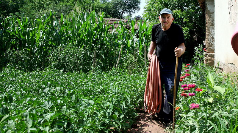 vrucina nis jul 2021 09
