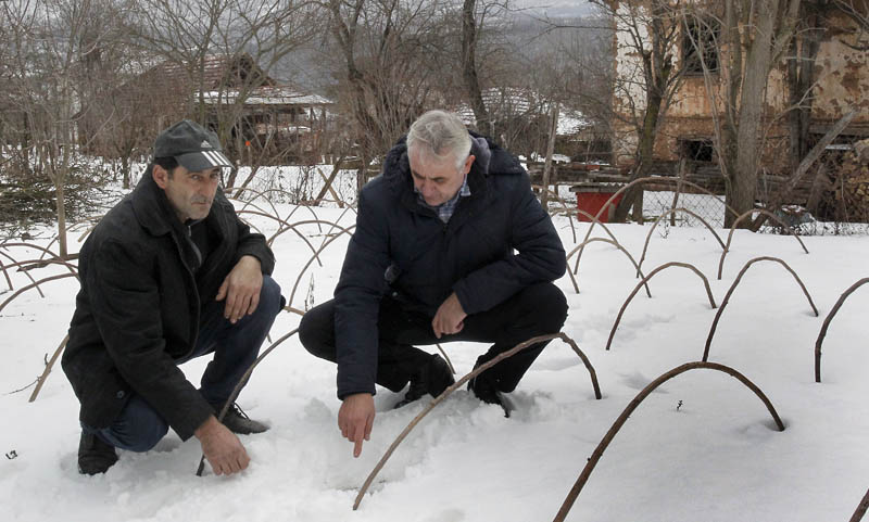 zaplanje lekovitobilje 2