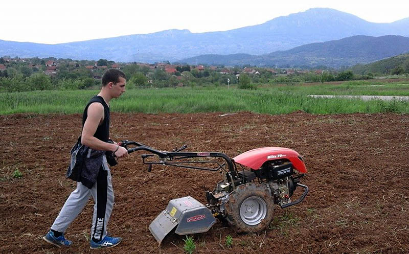 zaplanje lekovitobilje 6