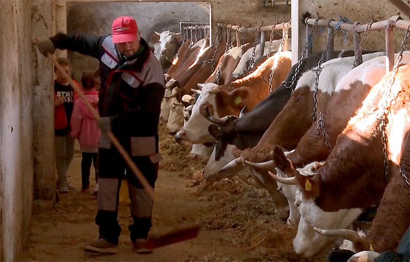 zivot na selu Mezgraja 5