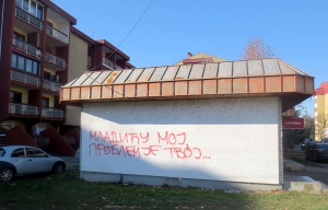 Prijavio da mu je u ba&scaron;tu kom&scaron;ija ugradio HAARP