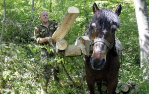 Samara&scaron;i u Srbiji - radimo težak posao, ali ima i težih i gorih