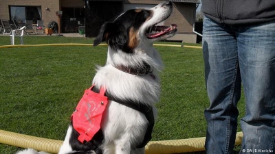 Pas koji znači spas