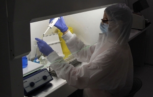 What determines the course of corona virus infection?