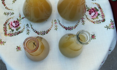 Dug put srpskih vinarija do evropskog trži&scaron;ta