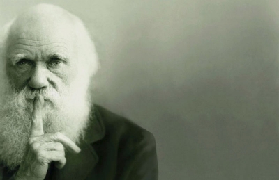 Kontraevolucija među Srbima