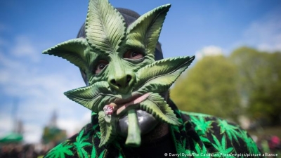 Legalizacija marihuane? Nije tako jednostavno
