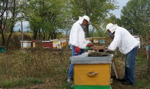 MED SA VLASINE I ZVANIČNO &ldquo;VLASINSKI&rdquo;