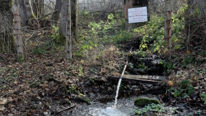 Zlato ili voda - Ni&scaron; na liniji razdvajanja