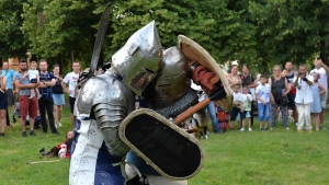 Vite&scaron;ki čas srednjovekovne kulture