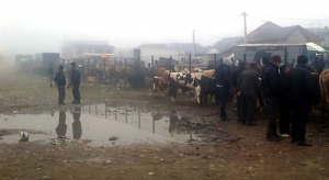 Kad je Stočna pijaca &ldquo;Krematorijum&rdquo; i deponija, ulica je mjesto gdje se prodaje stoka.